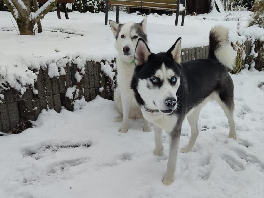 IMG-20230311-WA0010_2