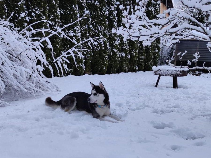 IMG-20230311-WA0050_2