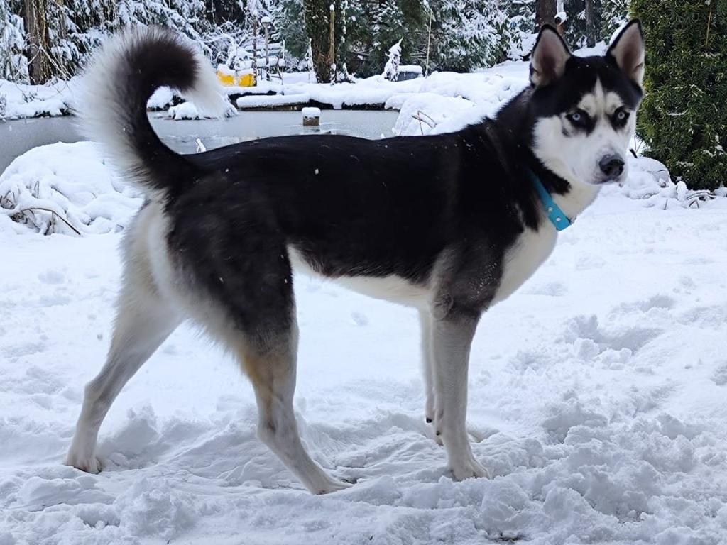 IMG-20230311-WA0055_2