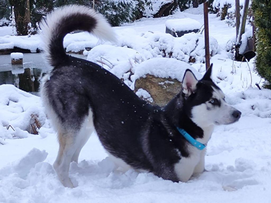 IMG-20230311-WA0060_2