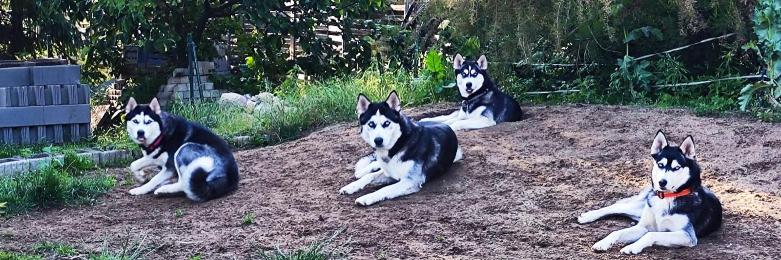 IMG-20260104-WA0005_2