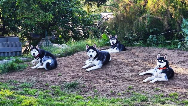 IMG-20260104-WA0005_2