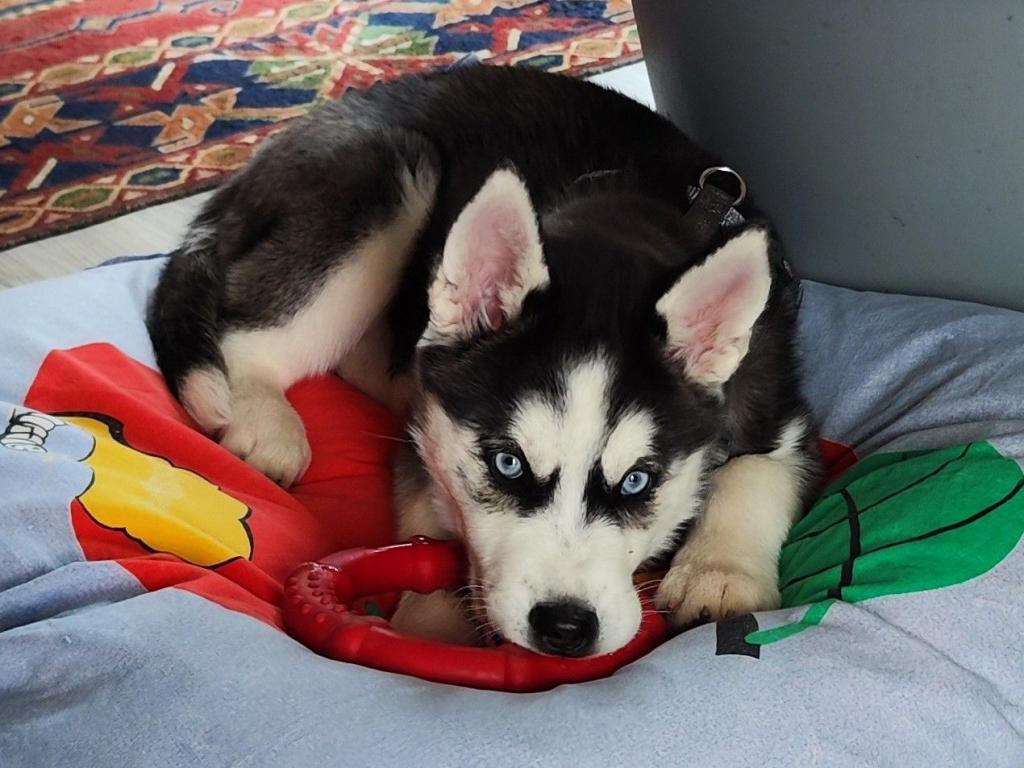 IMG_20240330_155056 (3)