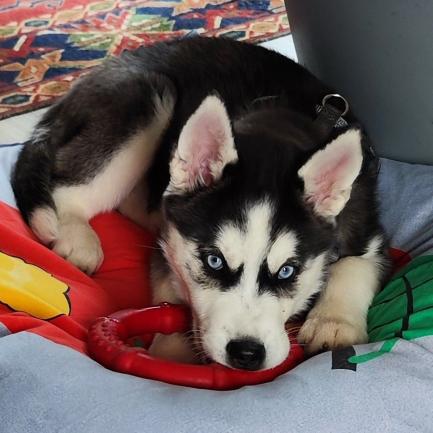 IMG_20240330_155056 (3)