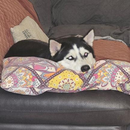 IMG_20251026_210059 (1)