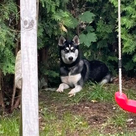 IMG-20240818-WA0001 (1)