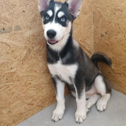 SAVE_20231220_162445