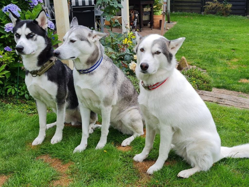 IMG-20220726-WA0002_2